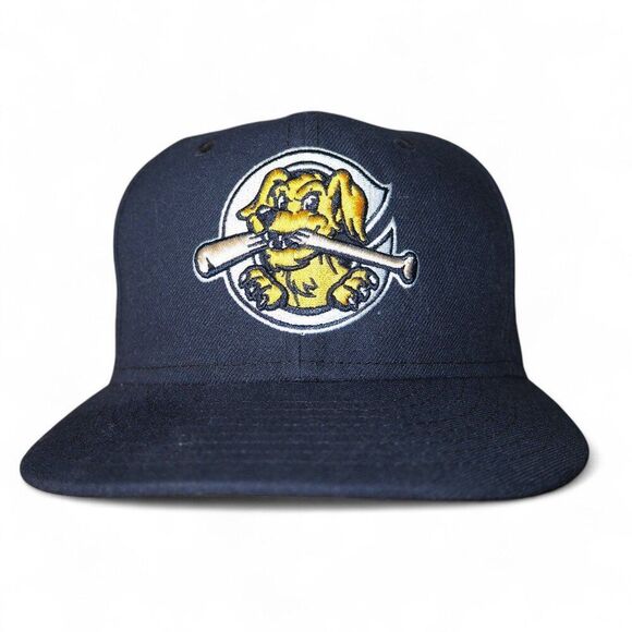 New Era Charleston RiverDogs Minor League Baseball Fitted Hat 6 7/8 - Picture 1 of 7